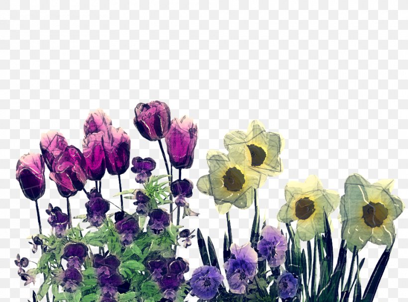 Lavender, PNG, 960x712px, Flower, Cut Flowers, Flowering Plant, Lavender, Petal Download Free