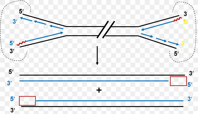 Line Point Angle Diagram, PNG, 1301x751px, Point, Area, Blue, Diagram, Parallel Download Free