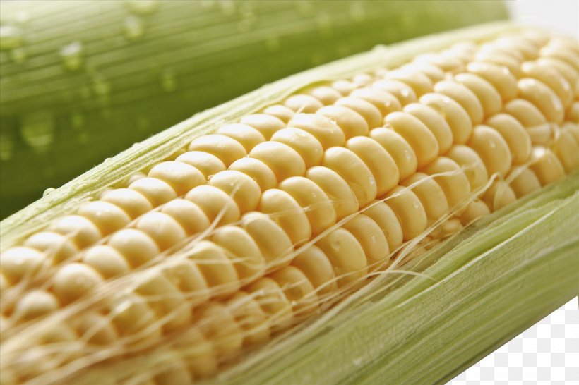 Corn On The Cob Maize, PNG, 2104x1403px, Corn On The Cob, Brand, Commodity, Corn Kernel, Corn Kernels Download Free