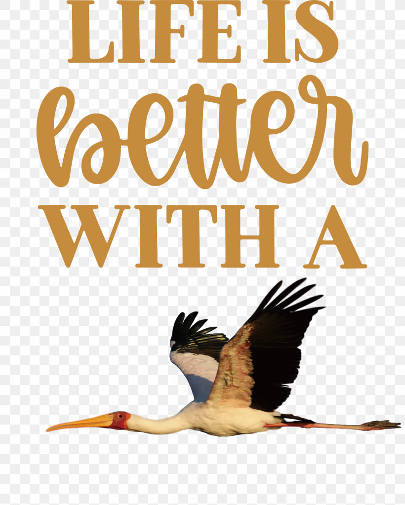 Life Better, PNG, 2403x3000px, Life, Argus, Beak, Better, Biology Download Free