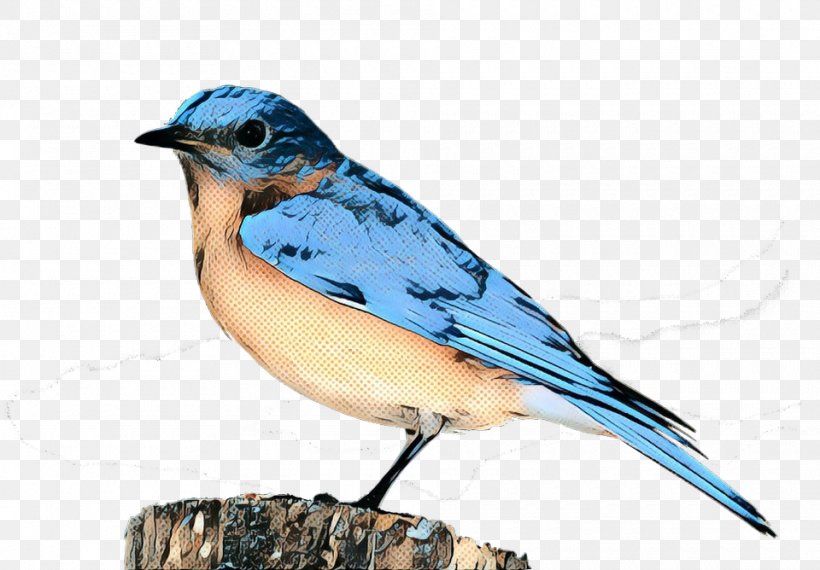 Blue Jay Finches Fauna Beak Bluebirds, PNG, 960x668px, Blue Jay, Beak, Bird, Bluebird, Bluebird Systems Inc Download Free