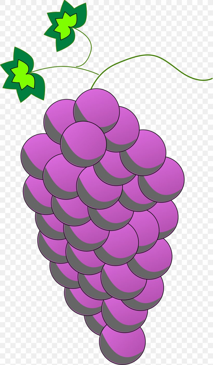 Common Grape Vine Wine Food Clip Art, PNG, 1378x2362px, Grape, Common Grape Vine, Drawing, Flowering Plant, Food Download Free