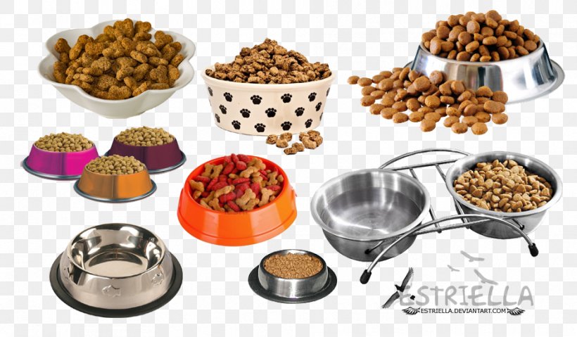 Stainless Steel Cat Food Dog, PNG, 938x548px, Steel, Bowl, Cat, Cookware And Bakeware, Dish Download Free