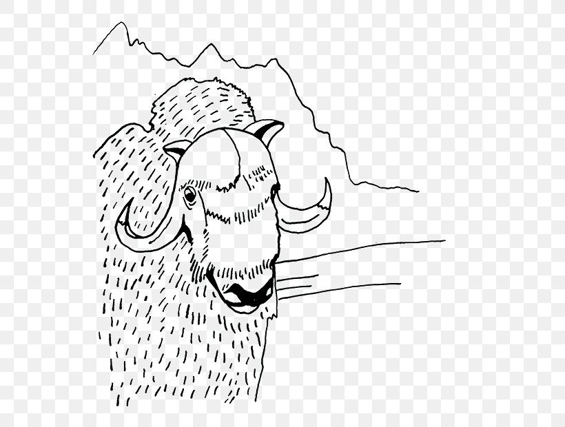 Visual Arts Sheep Drawing, PNG, 590x620px, Watercolor, Cartoon, Flower, Frame, Heart Download Free