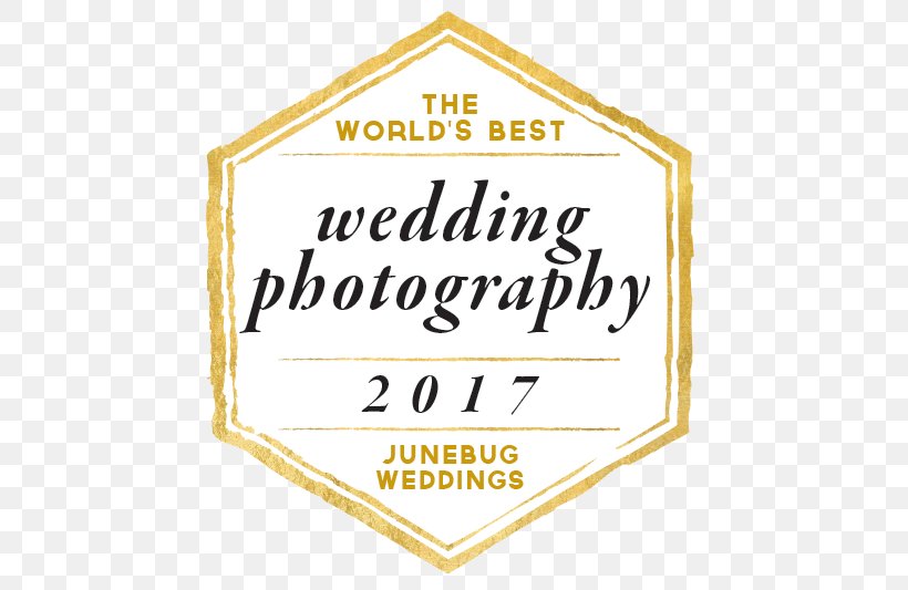 Wedding Photography Wedding Planner Logo Photographer, PNG, 596x533px, Wedding, Area, Blog, Brand, Honour Download Free