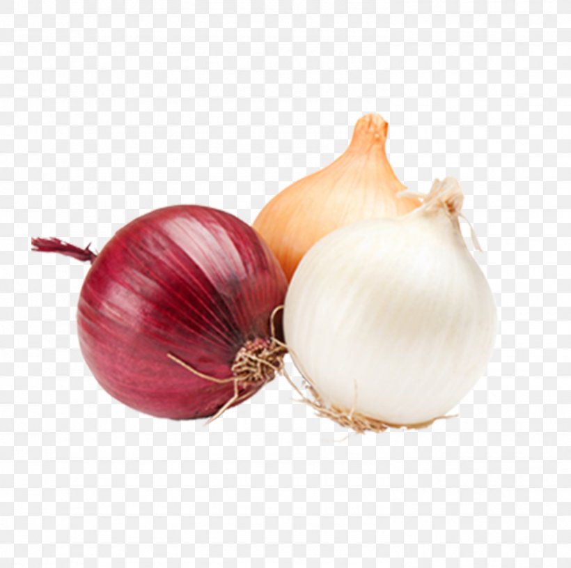 White Onion Vegetable Fruit Food, PNG, 1492x1484px, Onion, Bell Pepper, Culinary Art, Food, French Onion Soup Download Free