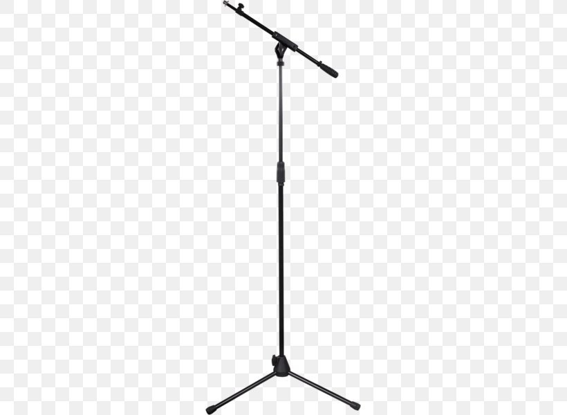 Microphone Stands 21 January Kiev, PNG, 600x600px, Microphone Stands, Audio, Kiev, Light Fixture, Lighting Download Free
