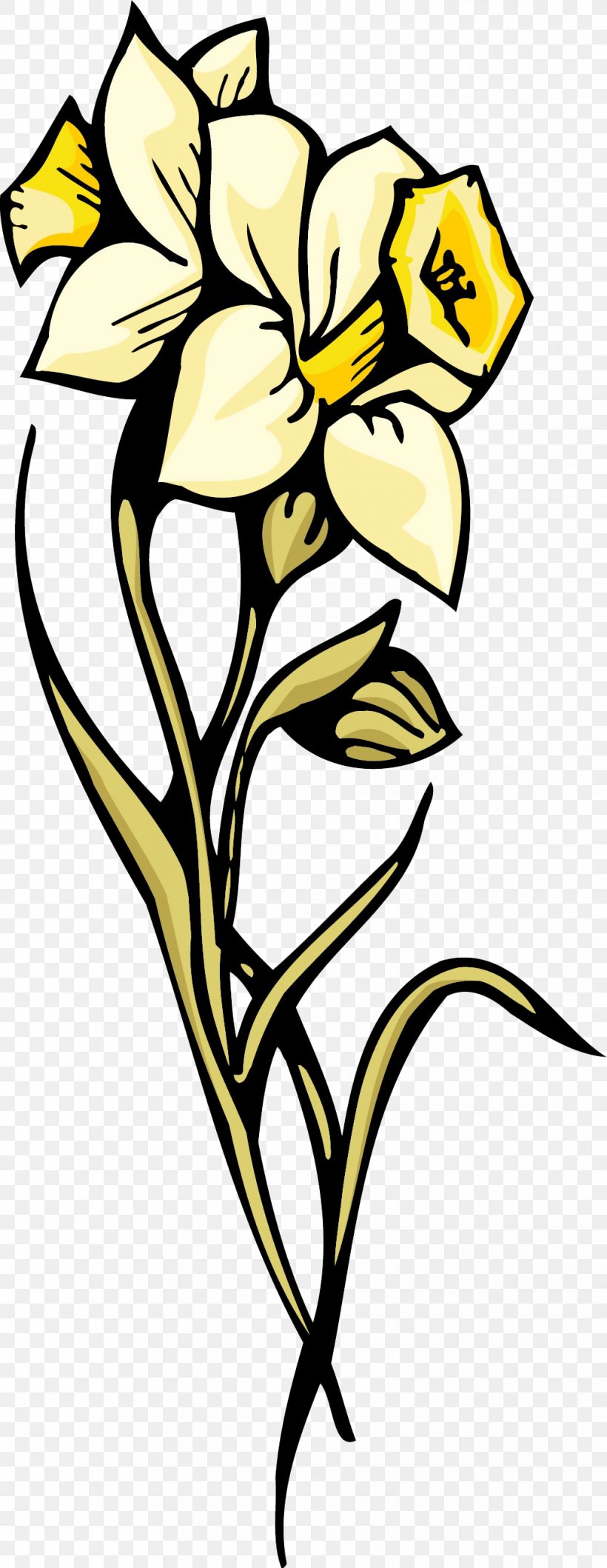 Petal Daffodil Flower Tulip Clip Art, PNG, 1019x2631px, Petal, Amaryllidaceae, Art, Artwork, Black And White Download Free