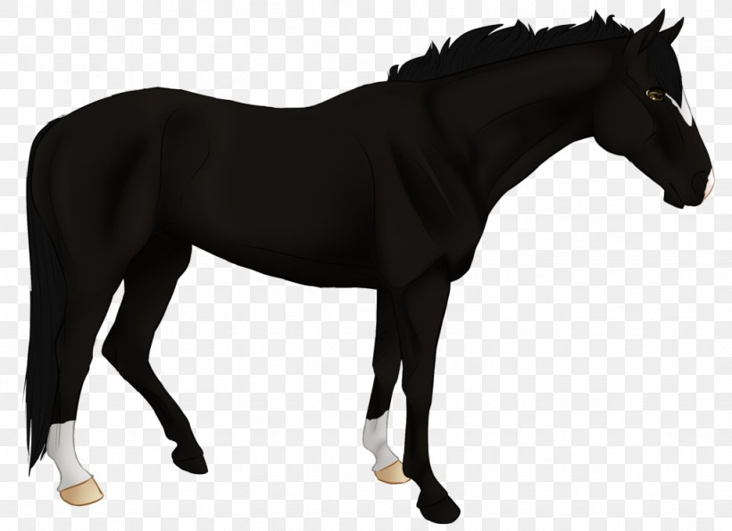 Pony Mare Stallion Mustang Mane, PNG, 1024x744px, Pony, Bridle, Colt, Halter, Horse Download Free