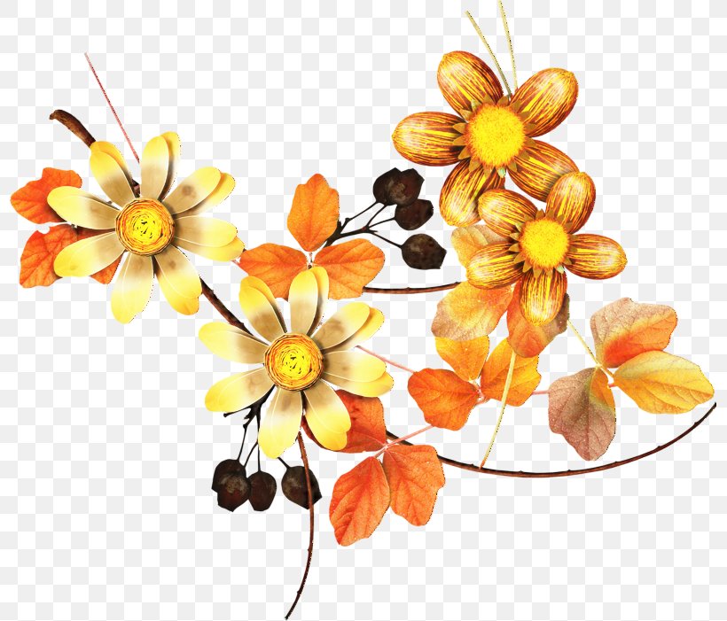 Floral Flower Background, PNG, 797x701px, Floral Design, Amber, Artificial Flower, Bouquet, Branch Download Free