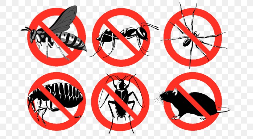 Insecticide Pest Control Pesticide Bedbug, PNG, 700x450px, Insect, Bedbug, Bicycle Wheel, Cockroach, Company Download Free