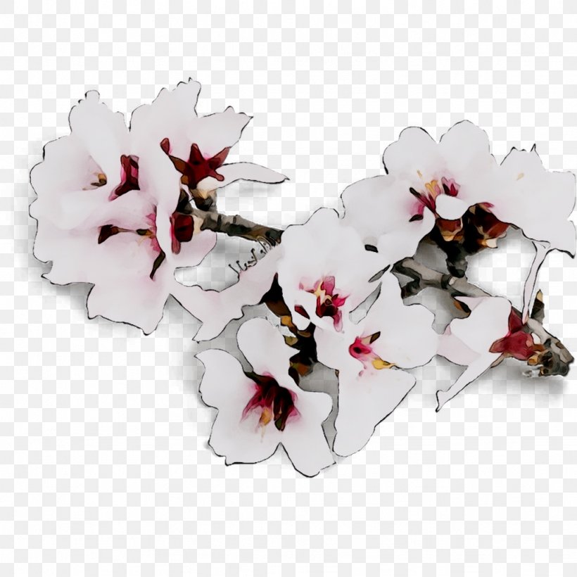 Moth Orchids Cut Flowers, PNG, 1026x1026px, Moth Orchids, Artificial Flower, Blossom, Branch, Cherry Blossom Download Free