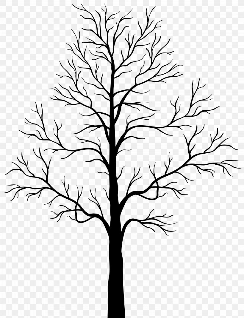 Tree Silhouette Clip Art, PNG, 6149x8000px, Tree, Art, Black And White, Branch, Drawing Download Free