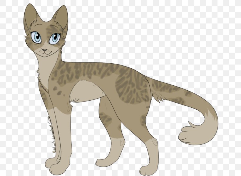 Whiskers Domestic Short-haired Cat Wildcat Warriors, PNG, 678x600px, Whiskers, Big Cats, Birchfall, Book, Carnivoran Download Free