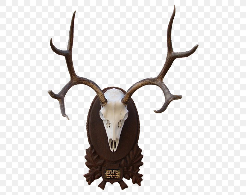 Elk White-tailed Deer Moose Reindeer, PNG, 543x650px, Elk, Antler, Deer, Horn, Moose Download Free