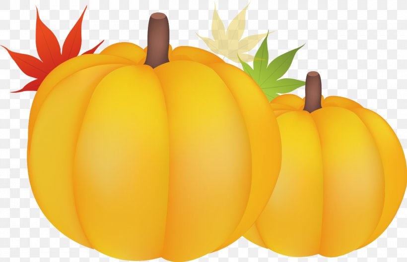 Great Pumpkin Calabaza Gourd Winter Squash, PNG, 1271x820px, Pumpkin, Animation, Calabaza, Cartoon, Commodity Download Free