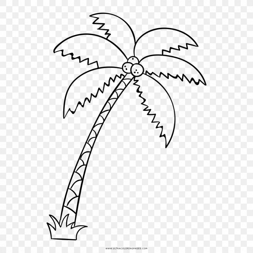 Really Big Coloring Books Drawing Arecaceae, PNG, 1000x1000px, Coloring Book, Adult, Area, Arecaceae, Artwork Download Free