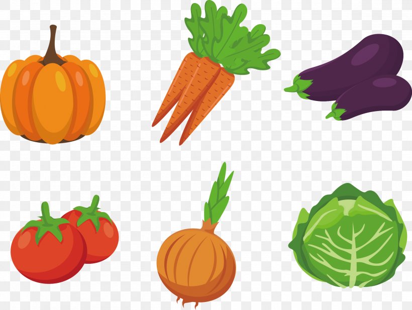 Vegetable Drawing Clip Art, PNG, 2305x1737px, Vegetable, Calabaza, Carrot, Cucurbita, Drawing Download Free