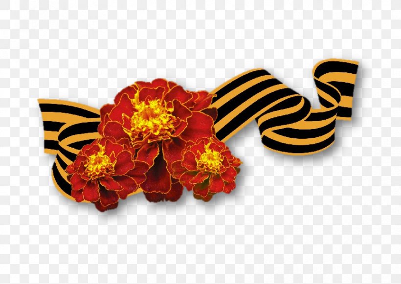Victory Day Drawing Holiday Studiya-M Veteran, PNG, 863x612px, Victory Day, Ansichtkaart, Artikel, Cut Flowers, Daytime Download Free