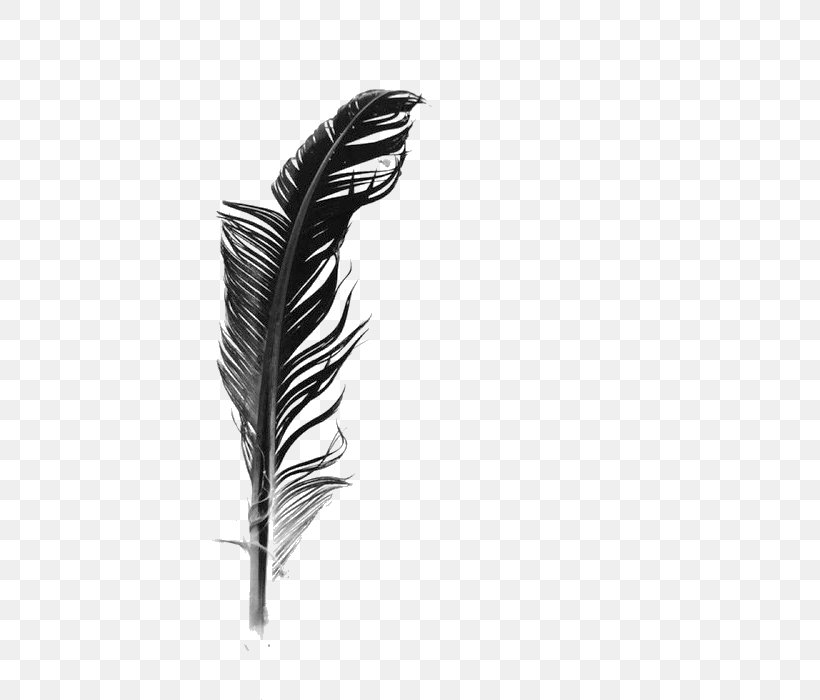 White Feather Black And White, PNG, 700x700px, Feather, Black, Black And White, Gratis, Monochrome Download Free
