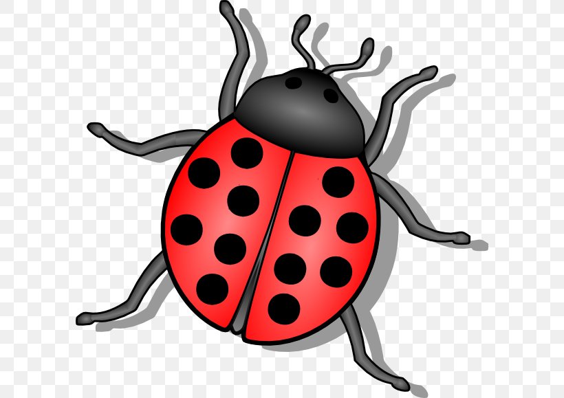 Beetle Ladybird Drawing Clip Art, PNG, 600x579px, Beetle, Animal, Animation, Arthropod, Drawing Download Free