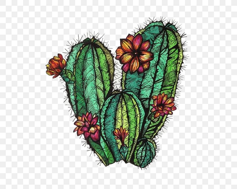 Cactaceae Drawing Painting, PNG, 564x655px, Drawing, Art, Butterfly, Cactaceae, Coloring Book Download Free