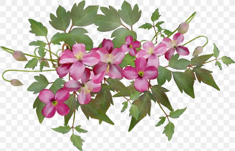 Flower Plant Flowering Plant Pink Petal, PNG, 1280x826px, Watercolor, Branch, Flower, Flowering Plant, Geranium Download Free
