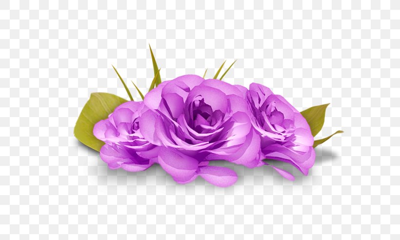 Garden Roses Desktop Wallpaper Clip Art, PNG, 800x492px, Garden Roses, Artificial Flower, Beach Rose, Cut Flowers, Floral Design Download Free