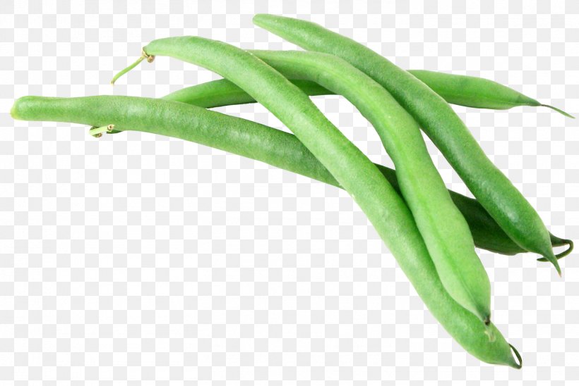 Green Bean Vegetable Garlic, PNG, 1458x975px, Philippine Adobo, Bean, Broad Bean, Capsicum, Cayenne Pepper Download Free