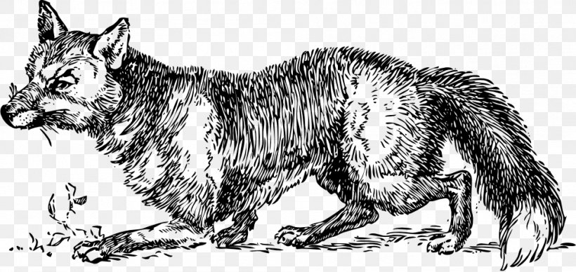 Red Fox Arctic Fox Fox Hunting Clip Art, PNG, 999x473px, Red Fox, Arctic Fox, Art, Artwork, Black And White Download Free