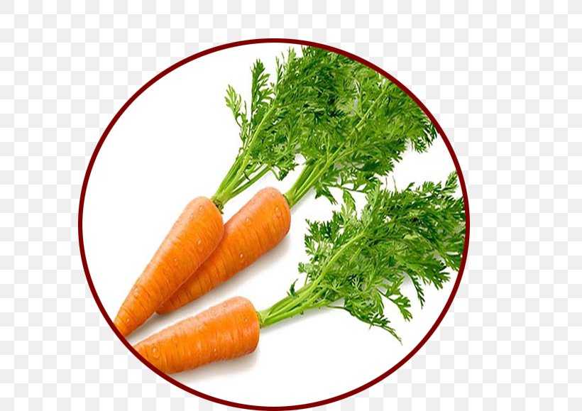 Carrot Vegetable Beta-Carotene Food, PNG, 600x579px, Carrot, Asparagus, Baby Carrot, Betacarotene, Carotene Download Free