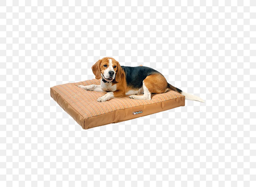 Dog Breed Dog Crate Bed Companion Dog, PNG, 600x600px, Dog Breed, Bed, Breed, Companion Dog, Dog Download Free