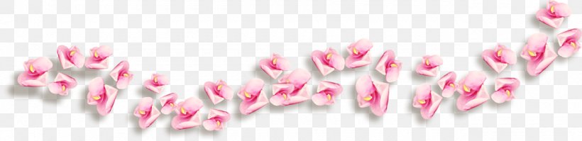 Flower Picture Frames Clip Art, PNG, 1280x312px, Flower, Bracket, Computer Software, Heart, Magenta Download Free