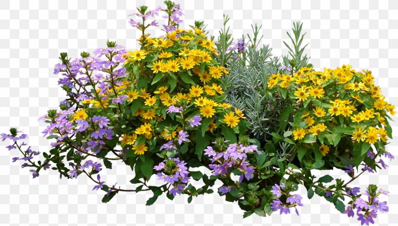 Flower Plant Shrub, PNG, 1280x726px, Flower, Annual Plant, Cut Flowers, Flora, Floral Design Download Free