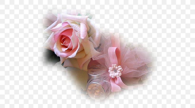 Rose Blog Painter Love, PNG, 552x457px, Rose, Art, Blog, Cut Flowers, Dream Download Free