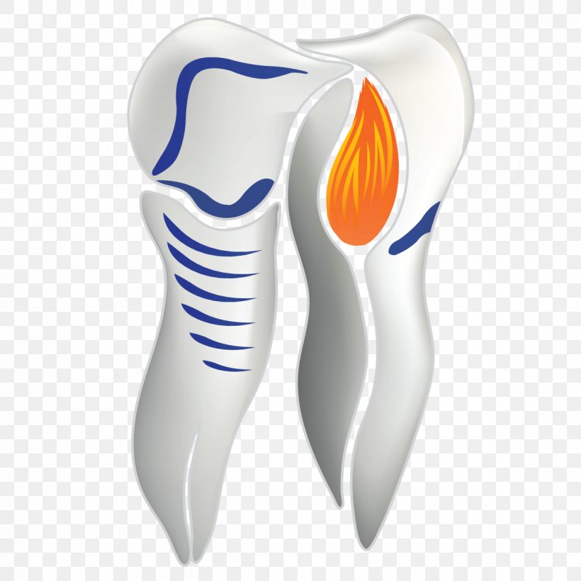 Tooth Cartoon, PNG, 1200x1200px, Dentistry, Aesthetics, Dental Laboratory, Dentrix, Form Download Free
