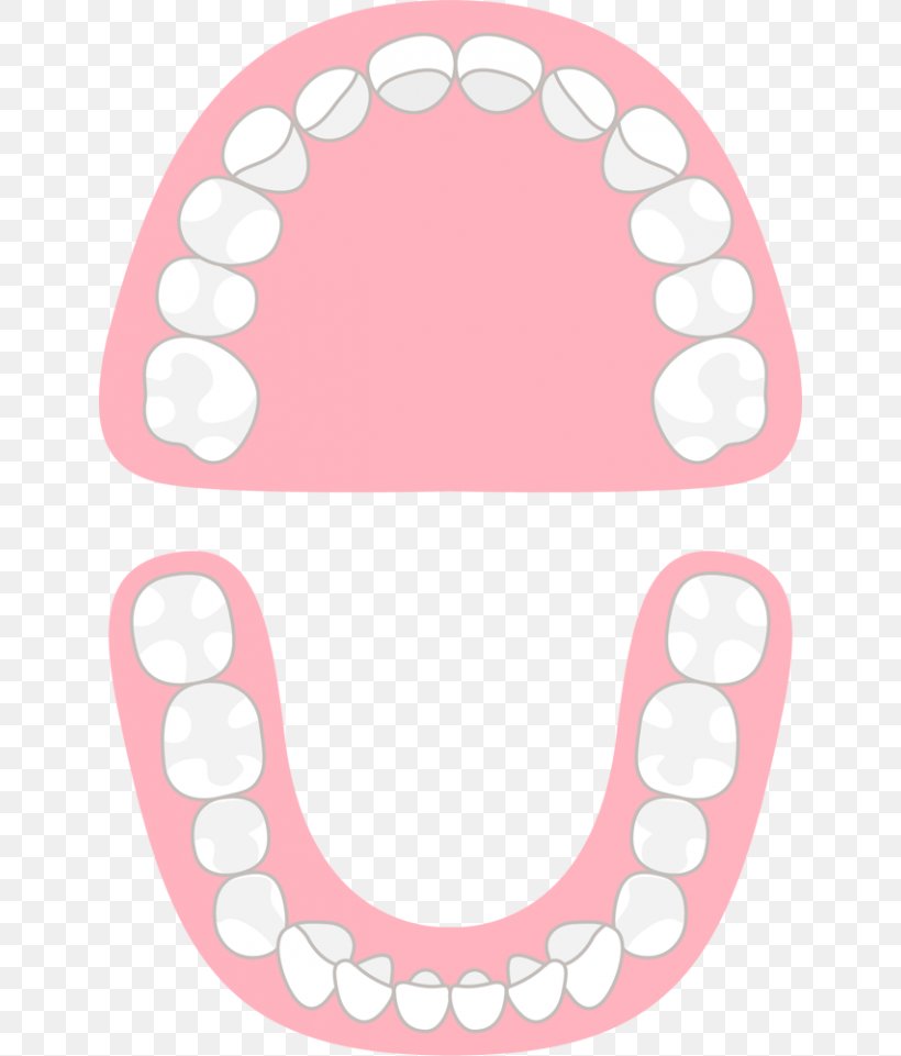 Tooth Mouthguard Jaw Temporomandibular Joint Dysfunction, PNG, 640x961px, Watercolor, Cartoon, Flower, Frame, Heart Download Free