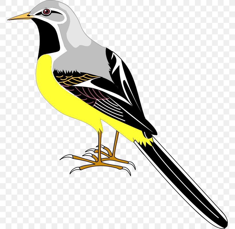 Bird Clip Art, PNG, 770x800px, Bird, American Kestrel, Beak, Bird Flight, Drawing Download Free