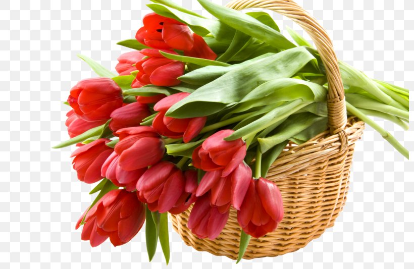 Desktop Wallpaper Tulip Flower, PNG, 800x533px, 8 March, Tulip, Blog, Cut Flowers, Daytime Download Free