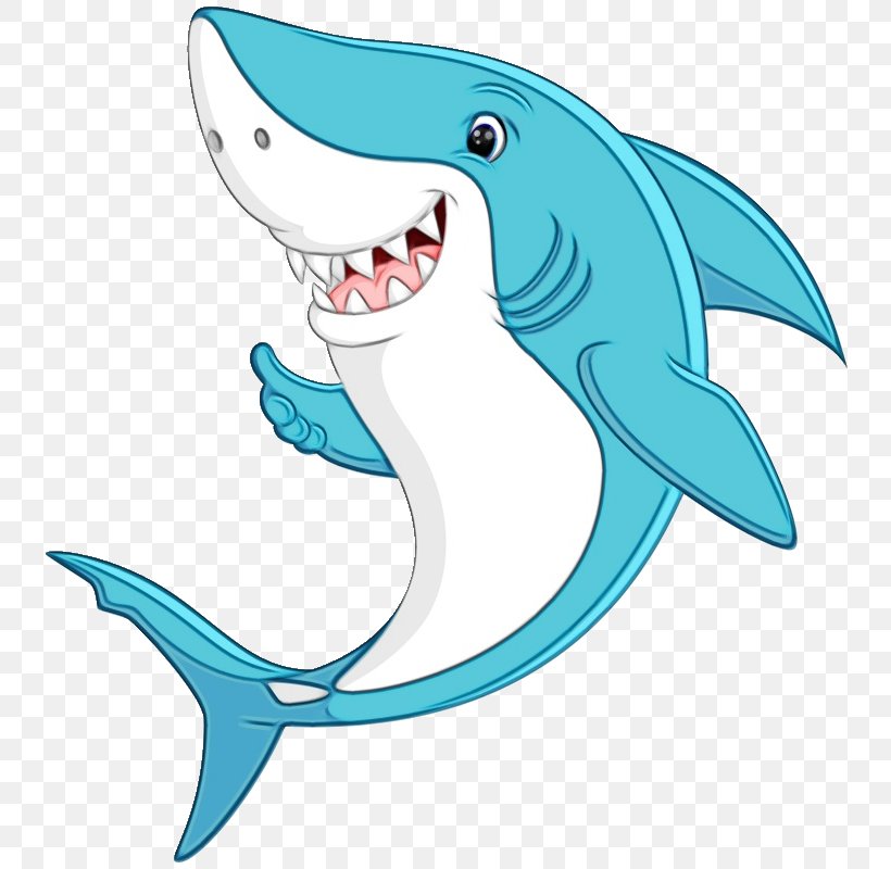 Great White Shark Background, PNG, 800x800px, Watercolor, Animal Figure, Aqua, Art Notebook, Baby Toddler Onepieces Download Free