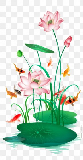 Beautiful Hand-painted Lotus - Nelumbo Nucifera Floral Design Download PNG