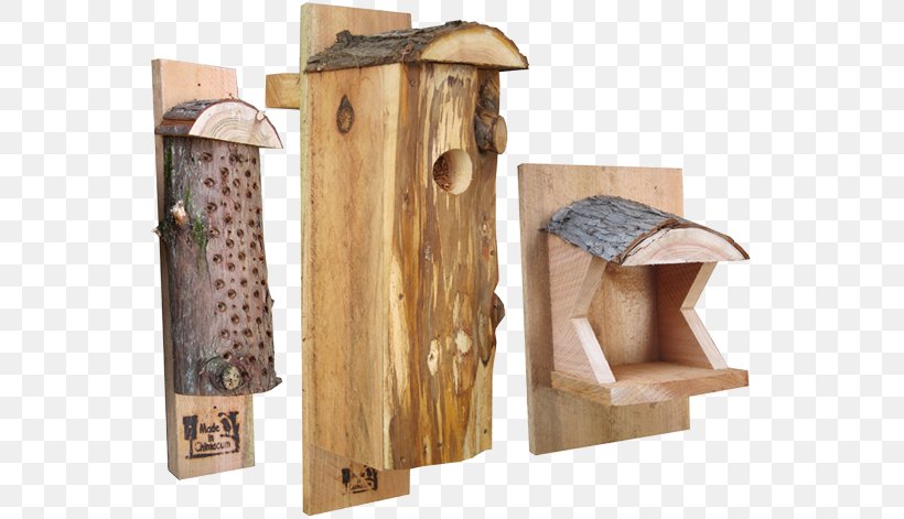 Nest Box Woodpecker Bird Nest Northern Flicker, PNG, 560x471px, Nest Box, Backyard, Bird, Bird Nest, Birdhouse Download Free