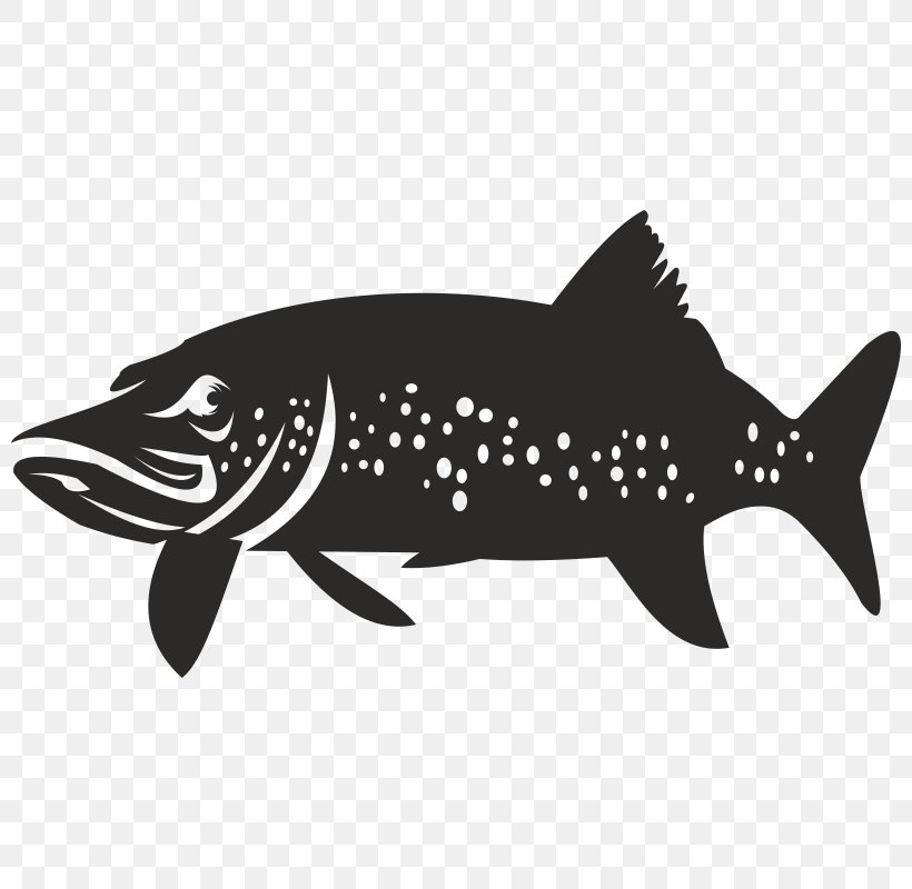 Shark Black Carnivores Mammal Fauna, PNG, 800x800px, Shark, Black, Black And White, Black M, Carnivoran Download Free