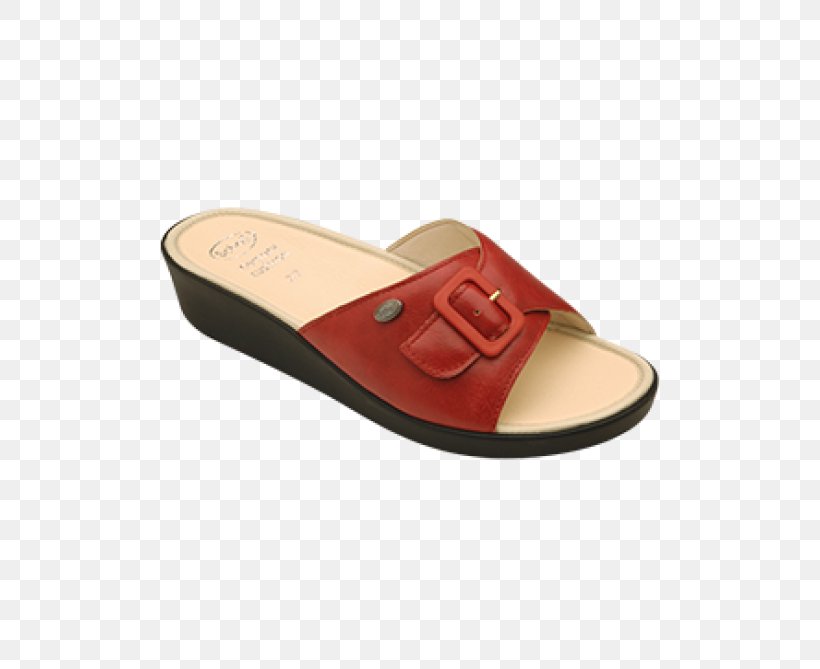 Slipper Shoe Dr. Scholl's Sandal Mango, PNG, 550x669px, Slipper, Ciabatta, Computer Mouse, Footwear, Leather Download Free