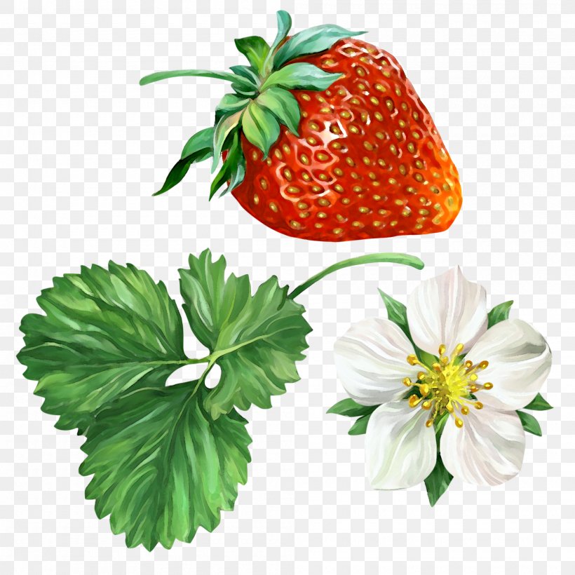 Strawberry Clip Art, PNG, 2000x2000px, Strawberry, Cdr, Food, Fragaria, Fruit Download Free