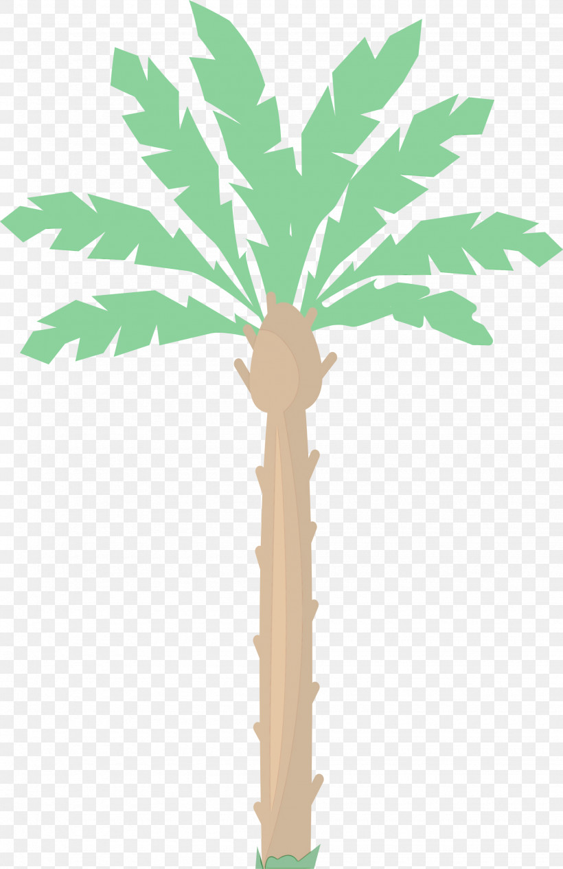 Asian Palmyra Palm Plant Stem Leaf Date Palm Flowerpot, PNG, 1945x3000px, Arab Symbol, Asian Palmyra Palm, Biology, Borassus, Date Palm Download Free