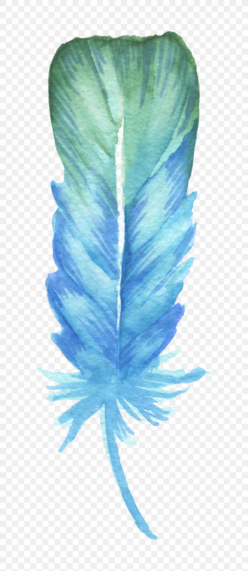 Feather Blue Drawing, PNG, 1200x2760px, Feather, Blue, Color, Drawing, Gratis Download Free