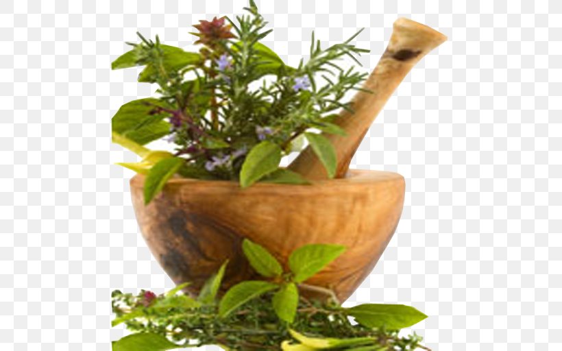 Herbalism Alternative Health Services Traditional Chinese Medicine, PNG, 512x512px, Herbalism, Acupressure, Acupuncture, Alternative Health Services, Ayurveda Download Free