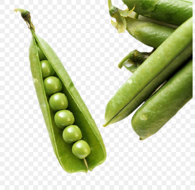 Green Bean Vegetable Food Common Bean, PNG, 800x800px, Green Bean, Bean, Blanching, Broad Bean, Commodity Download Free