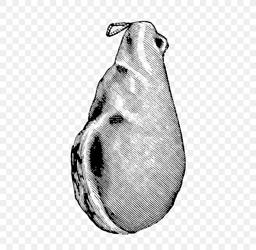 Vegetable Cartoon, PNG, 464x800px, Drawing, Bean, Blackandwhite, Encyclopedia, Food Download Free